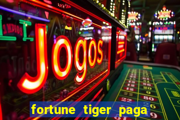 fortune tiger paga de madrugada